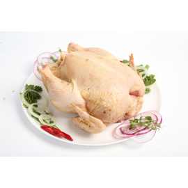 Домашня курка